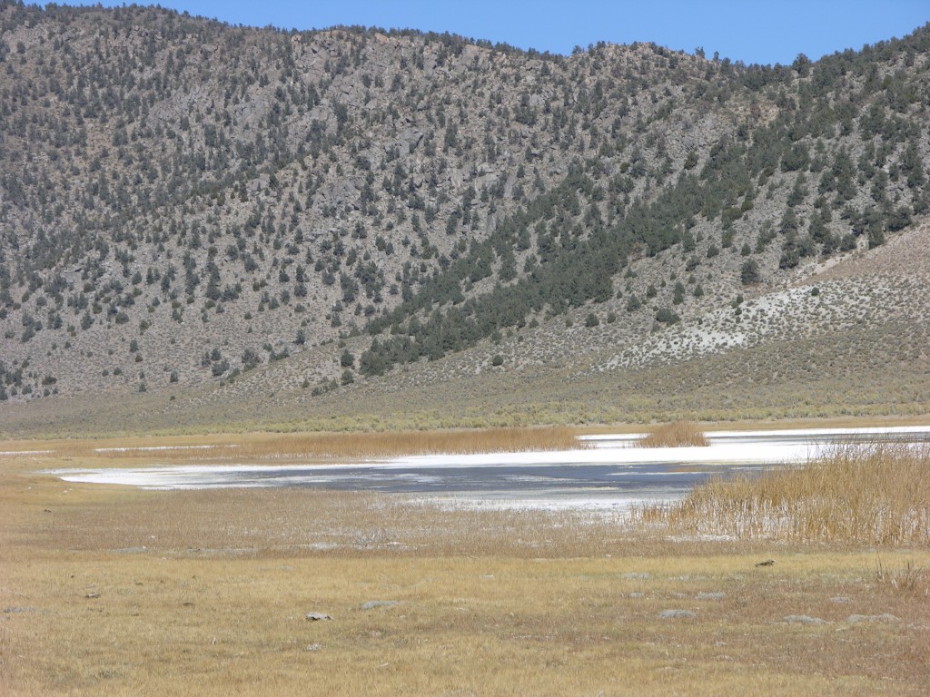 dscn2238.jpg