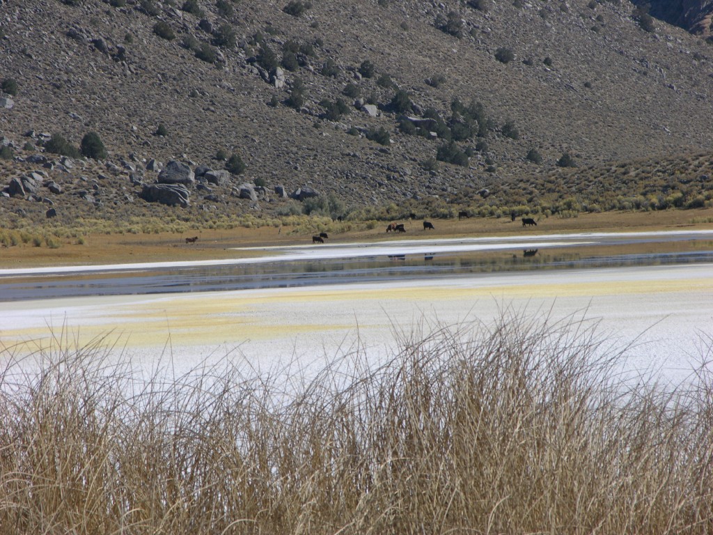 dscn2240.jpg
