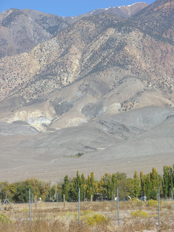 dscn2242.jpg