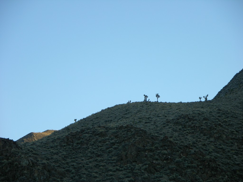 dscn2251.jpg
