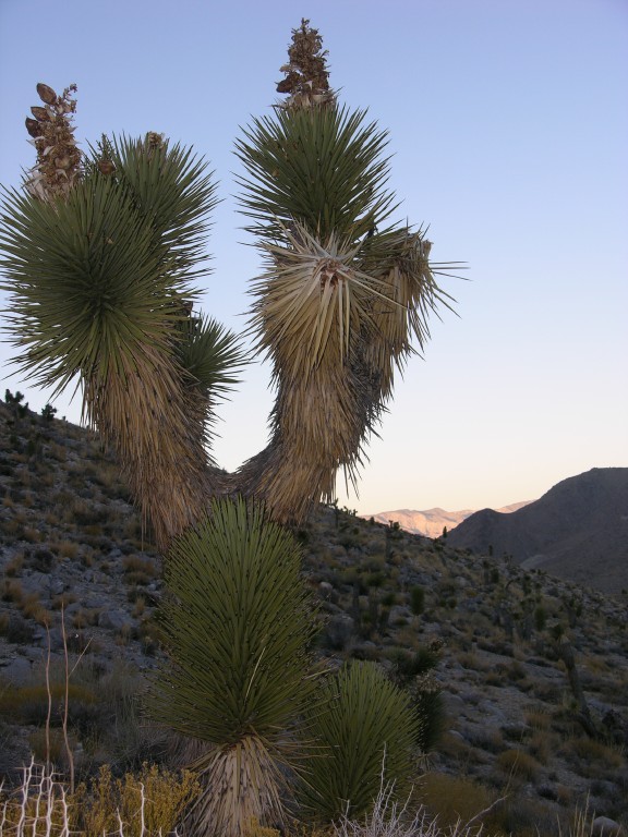 dscn2256.jpg