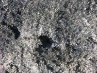 dscn2198.jpg