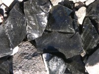 dscn2208.jpg