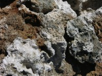 dscn2213.jpg