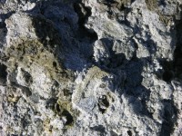 dscn2218.jpg