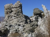 dscn2222.jpg