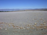 dscn2232.jpg