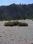 dscn2233.jpg
