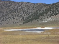 dscn2238.jpg