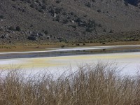 dscn2240.jpg