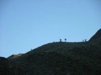 dscn2251.jpg