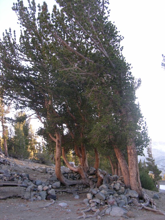 dscn2159.jpg