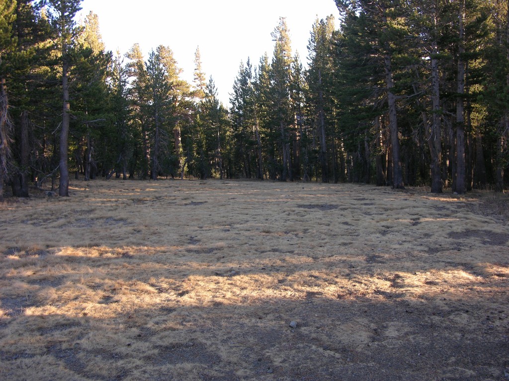 dscn2160.jpg