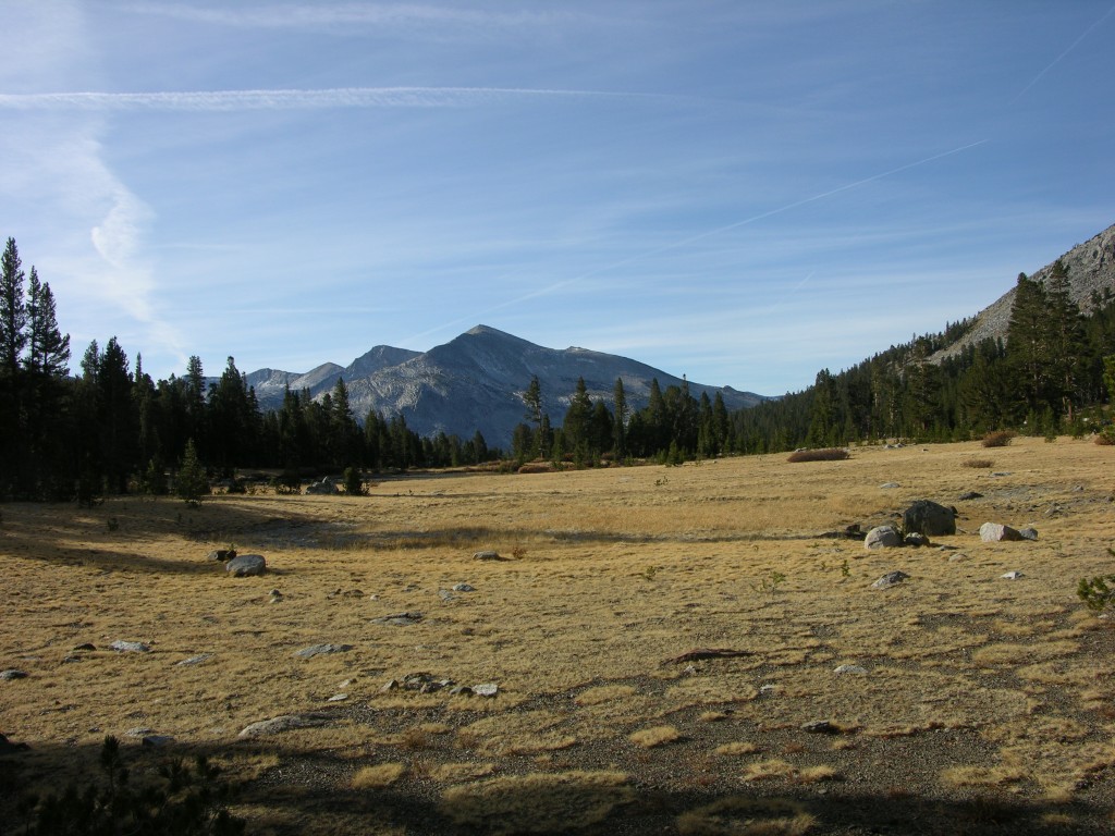 dscn2175.jpg