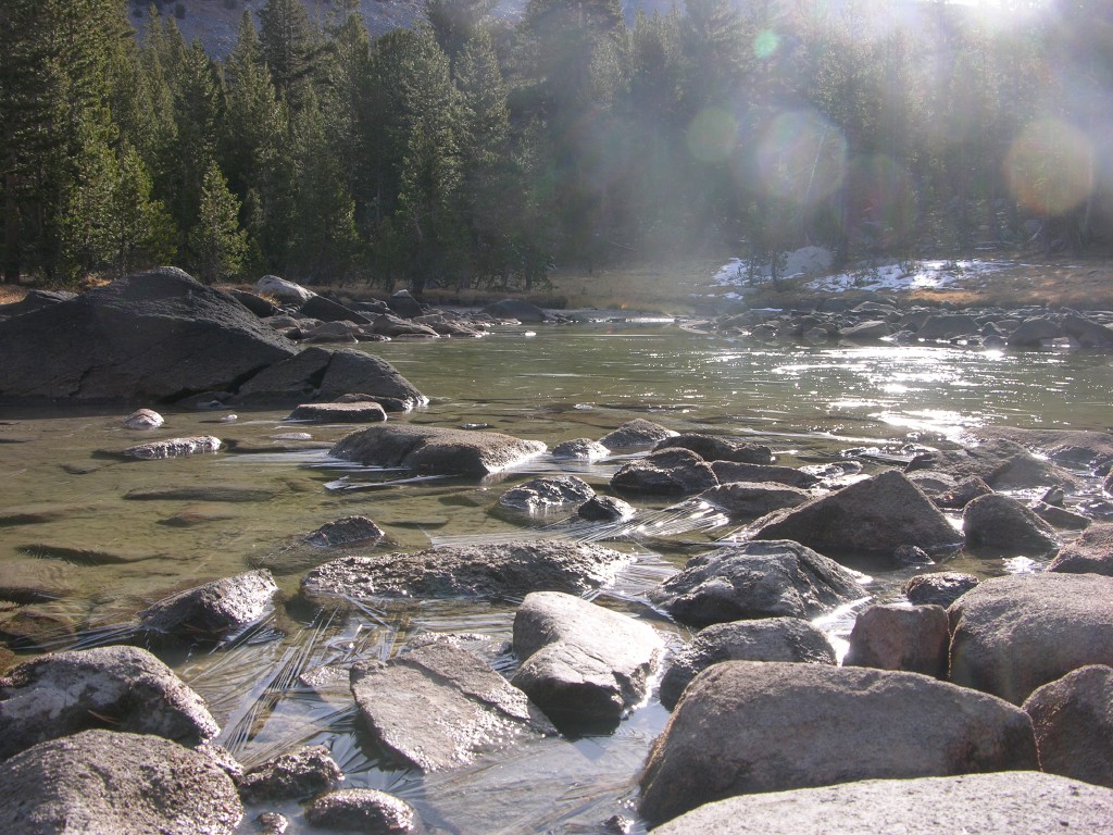 dscn2176.jpg