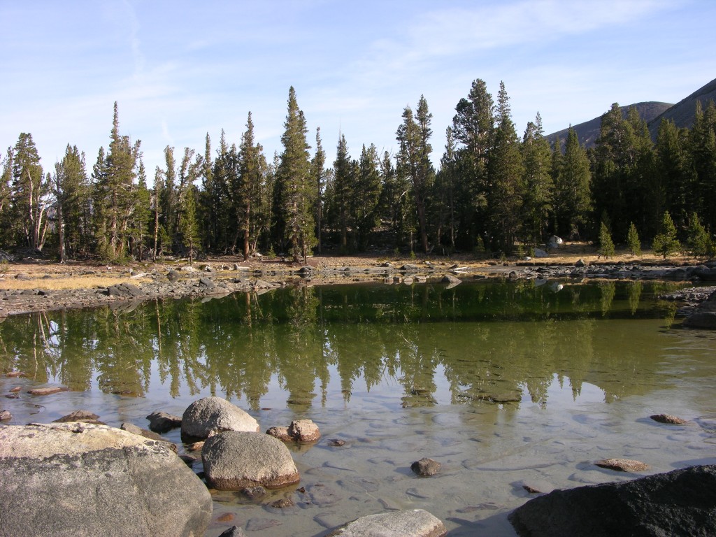 dscn2177.jpg