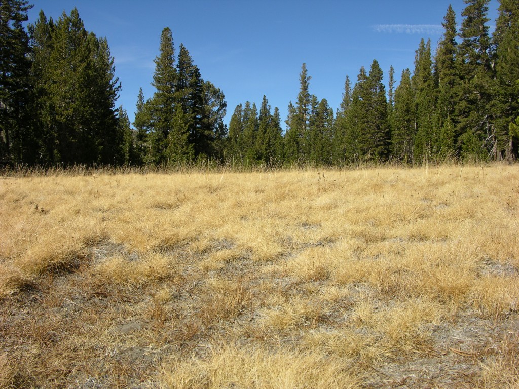 dscn2193.jpg