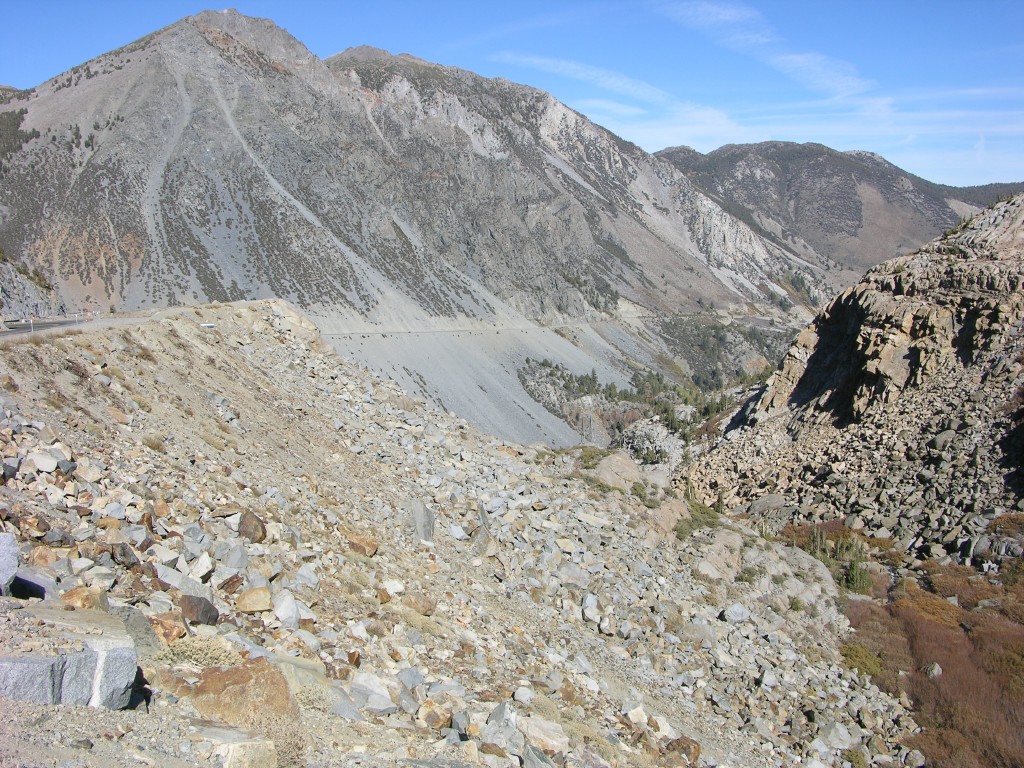dscn2195.jpg