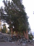 dscn2159.jpg