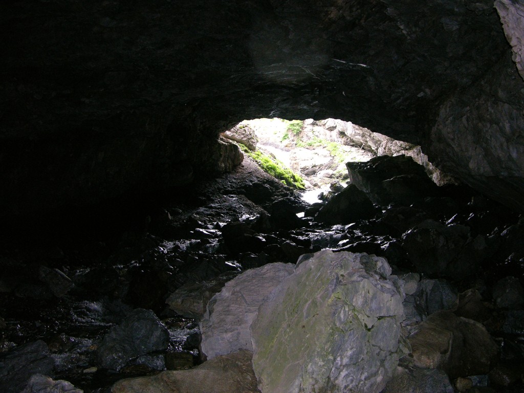 dscn1600.jpg