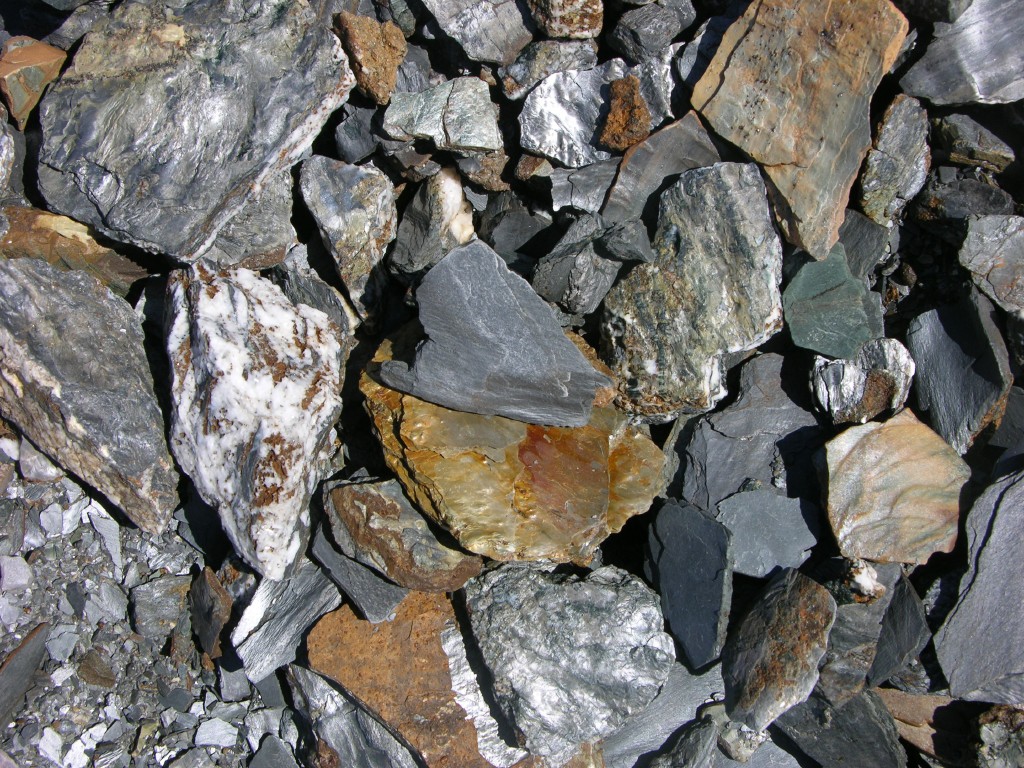 dscn1612.jpg