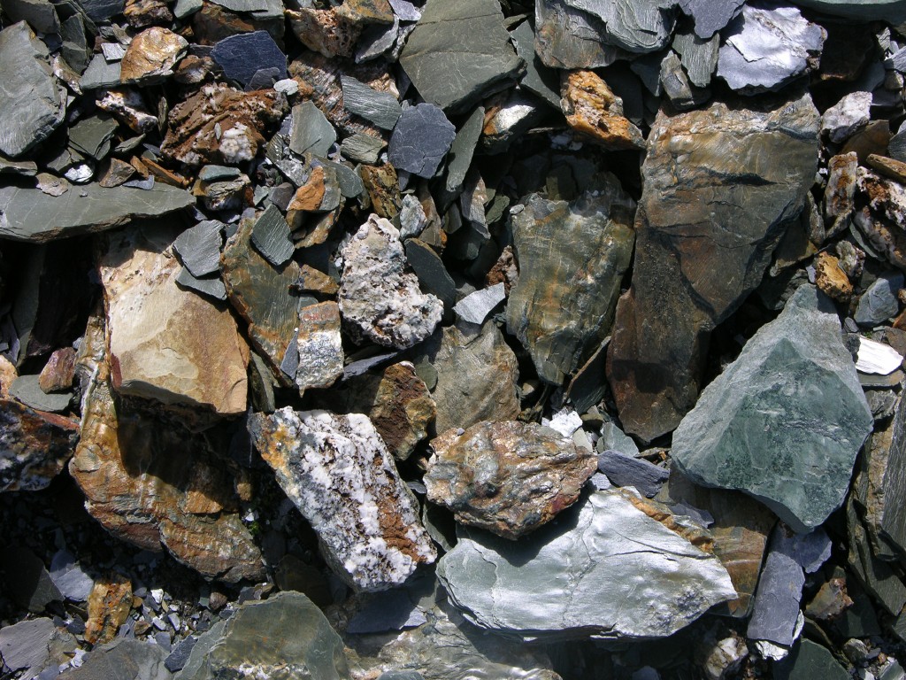 dscn1614.jpg