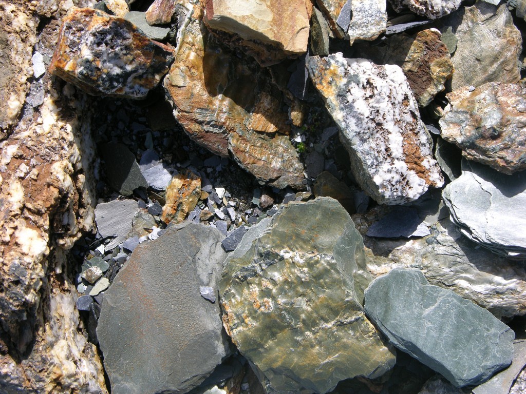 dscn1615.jpg