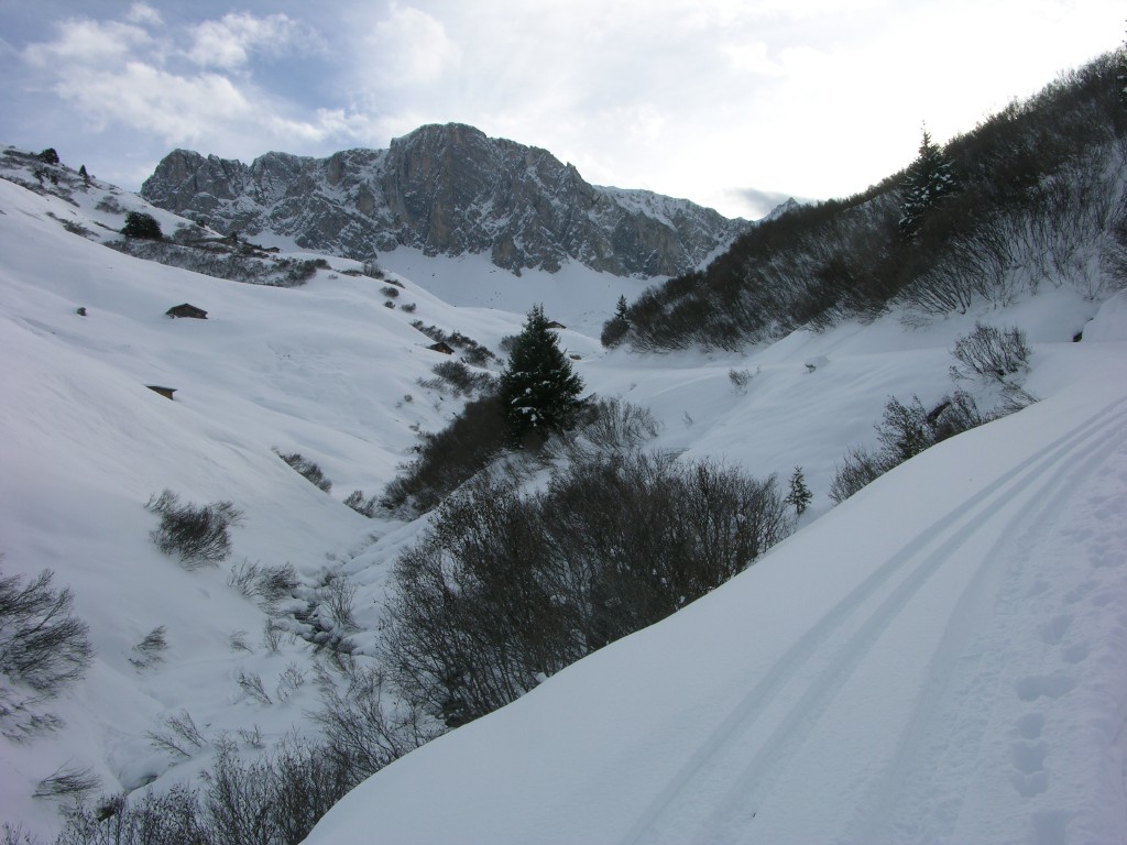 dscn2863.jpg