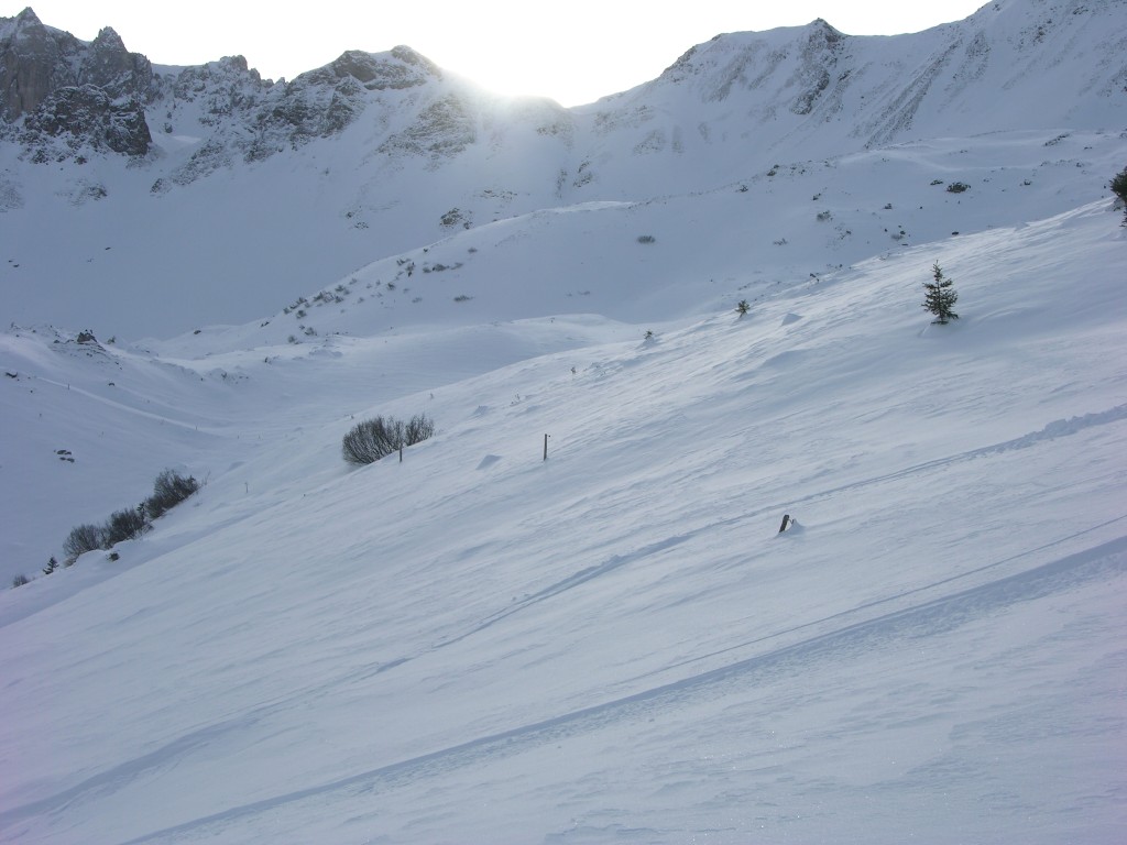 dscn2865.jpg