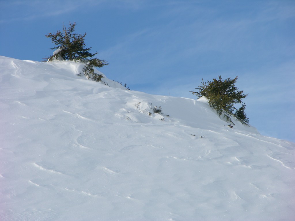 dscn2866.jpg
