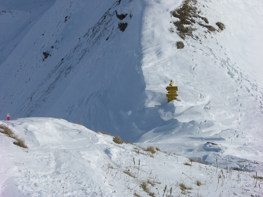 dscn2872.jpg