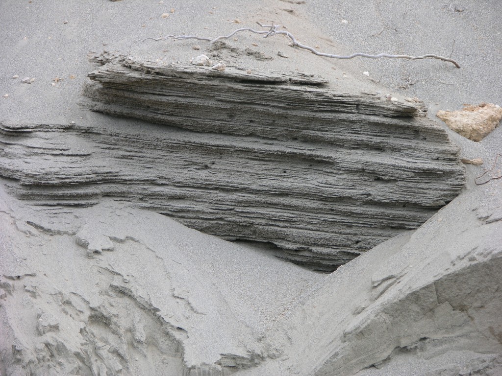 dscn1215.jpg