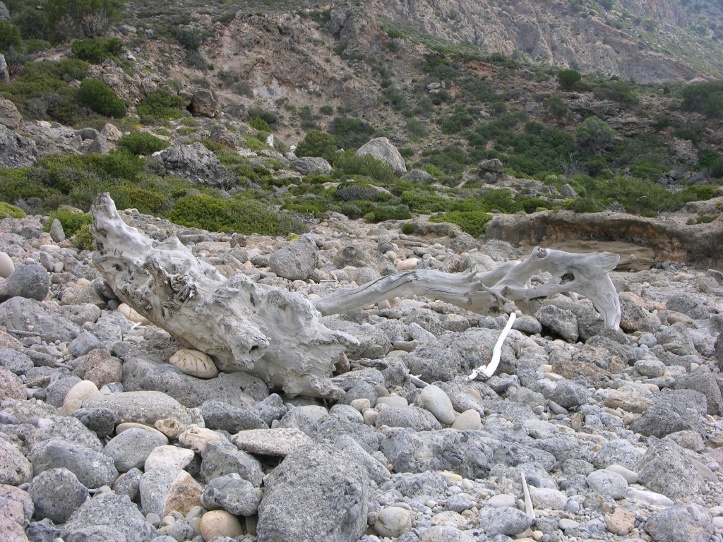 dscn1217.jpg