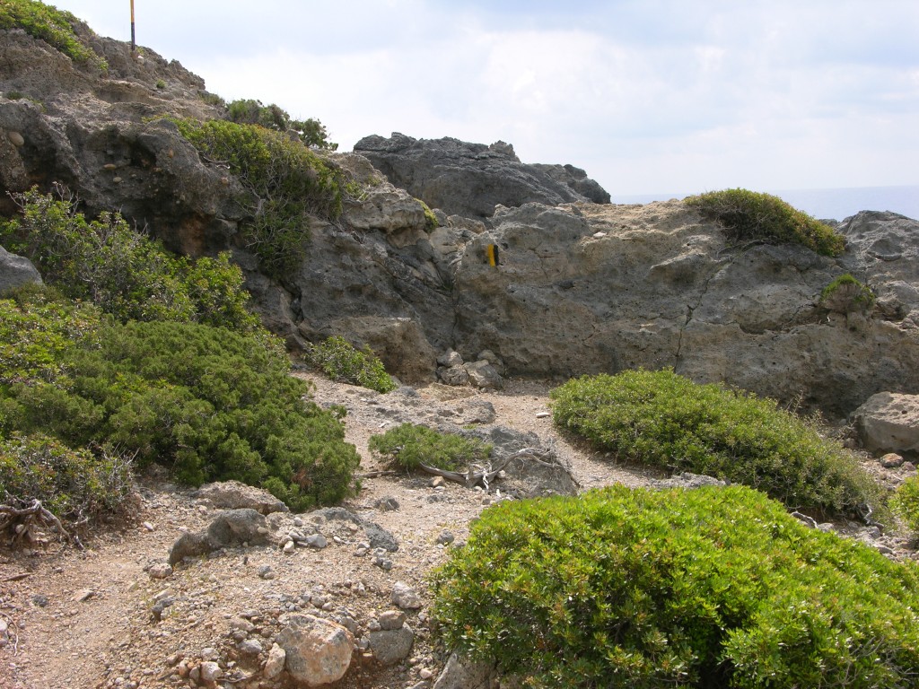 dscn1218.jpg