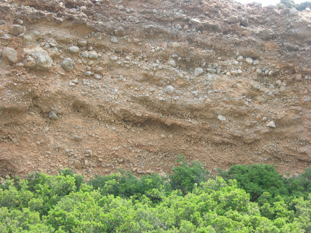 dscn1219.jpg