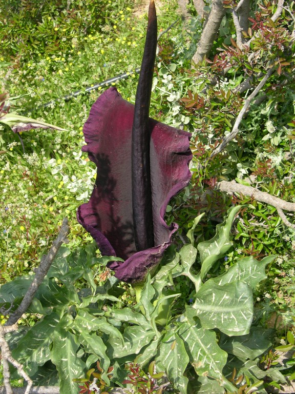 dscn1225.jpg