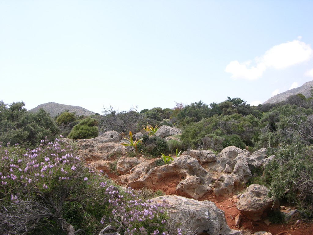 dscn1226.jpg