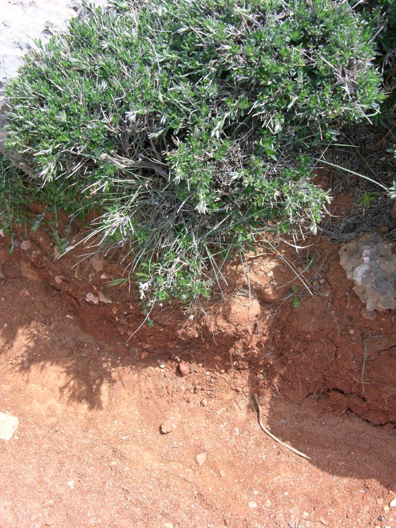 dscn1227.jpg