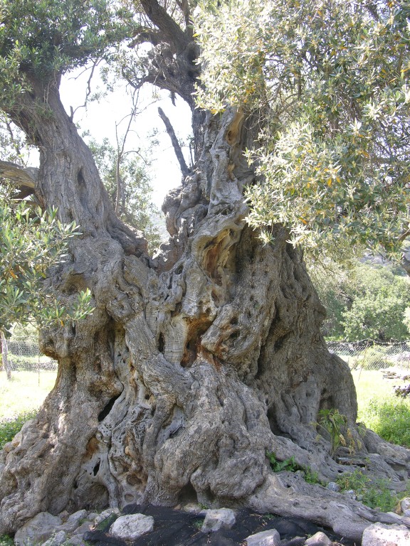 dscn1230.jpg