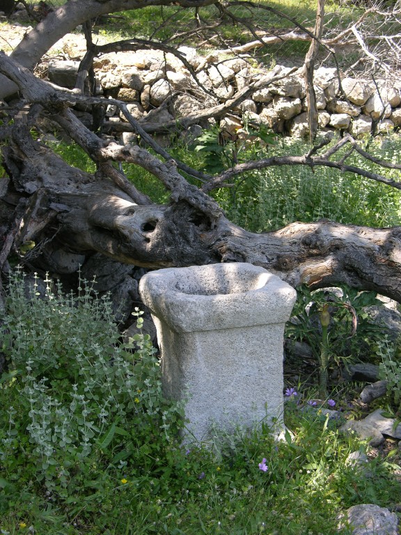 dscn1231.jpg