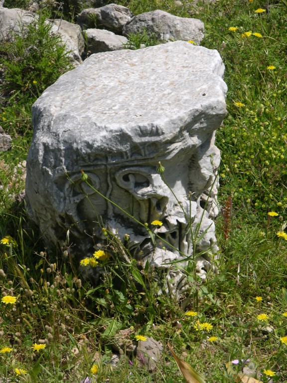 dscn1233.jpg