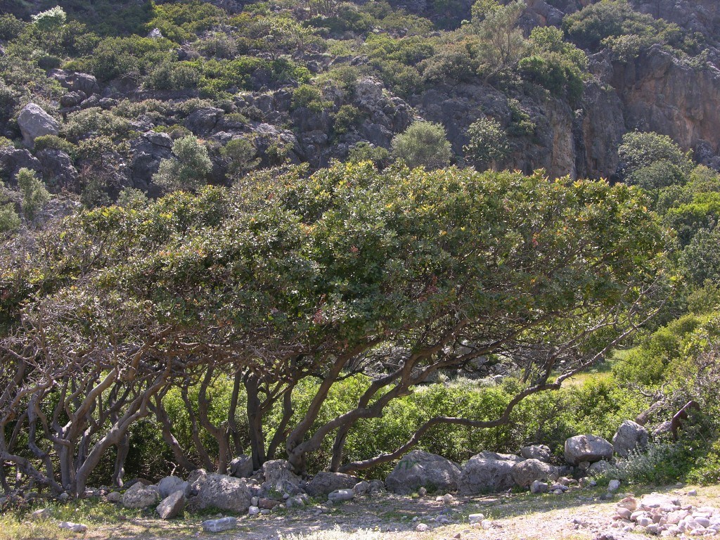 dscn1234.jpg