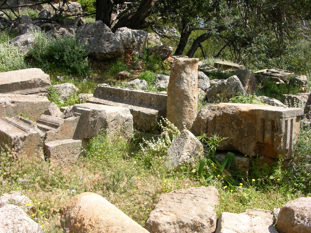 dscn1235.jpg
