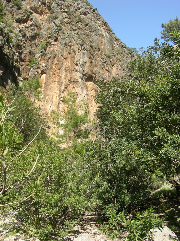 dscn1236.jpg