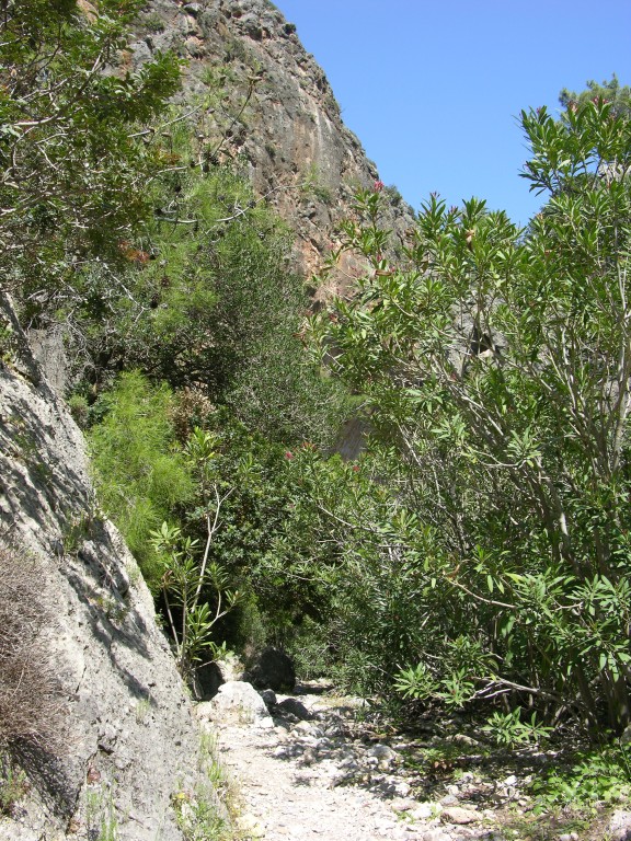 dscn1237.jpg