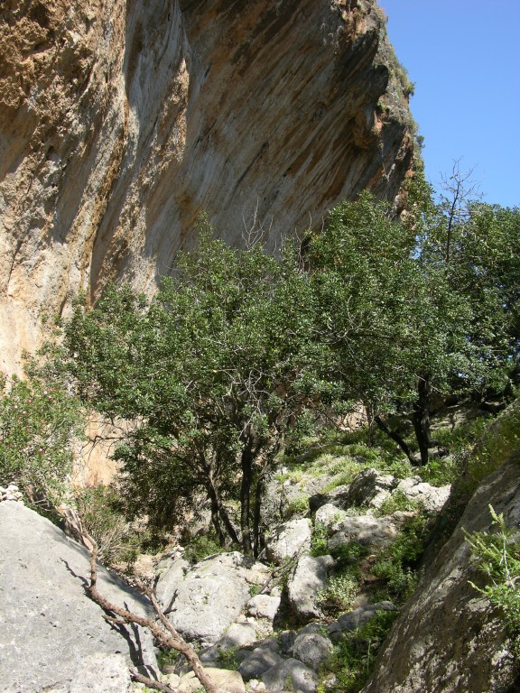 dscn1238.jpg