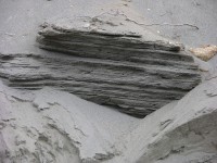 dscn1215.jpg