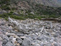 dscn1217.jpg