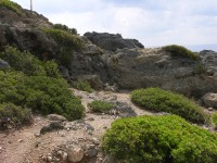 dscn1218.jpg