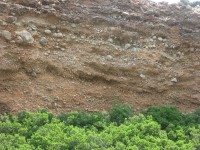 dscn1219.jpg